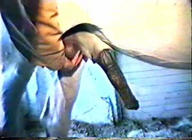 Video :Horse dick got masturbated by farm caretaker